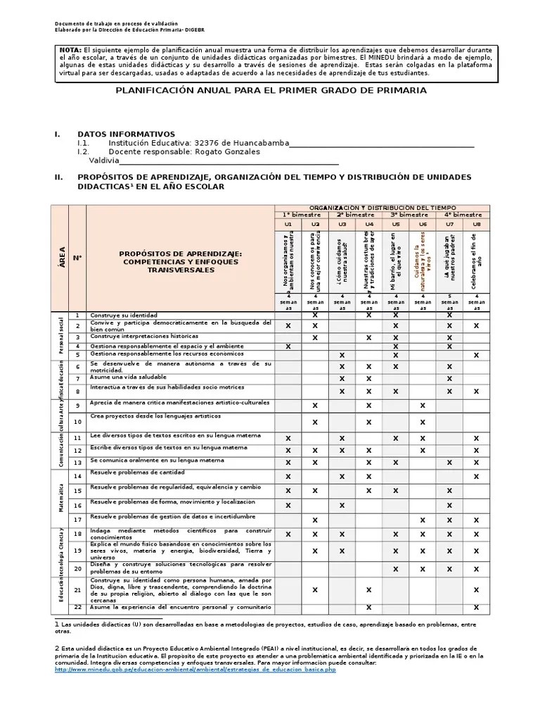 Planificacion Anual Primer Grado | PDF | Aprendizaje | Science