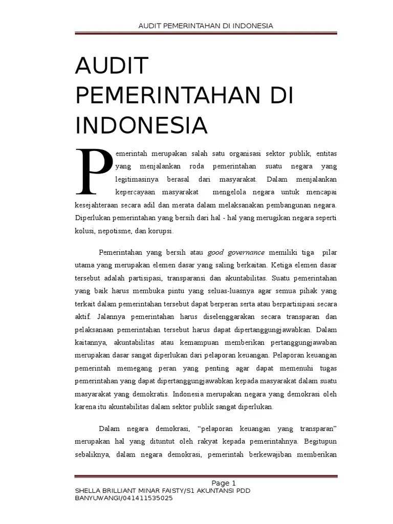 Audit Pemerintahan Di Indonesia | PDF