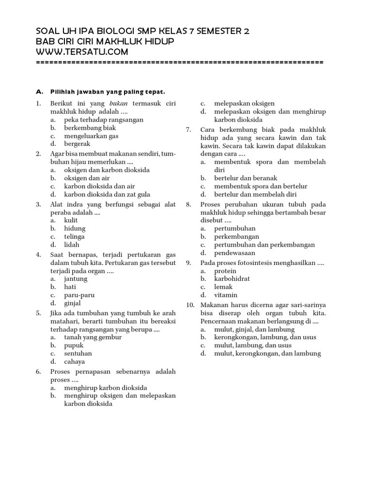 Soal Ipa Kingdom Plantae Kelas 7 Pencerah 