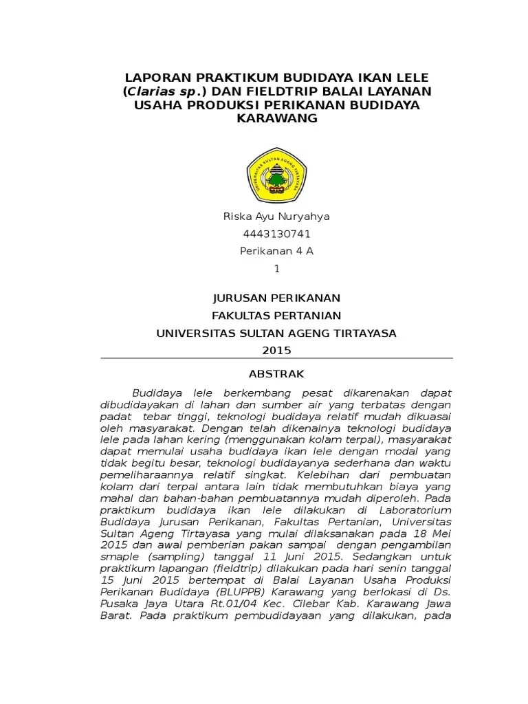 Menerapkan sistem budidaya ikan lele intensif yang ramah. Laporan Praktikum Budidaya Ikan Lele Pdf