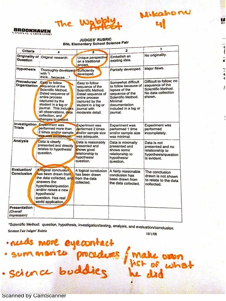 Science Fair Rubric | PDF