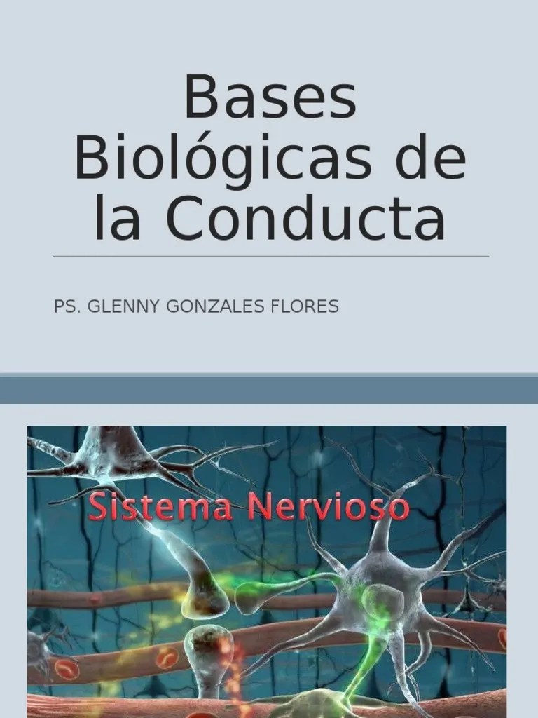 Bases Biologicas De La Conducta | Descargar Gratis PDF | Sinapsis | Neurona