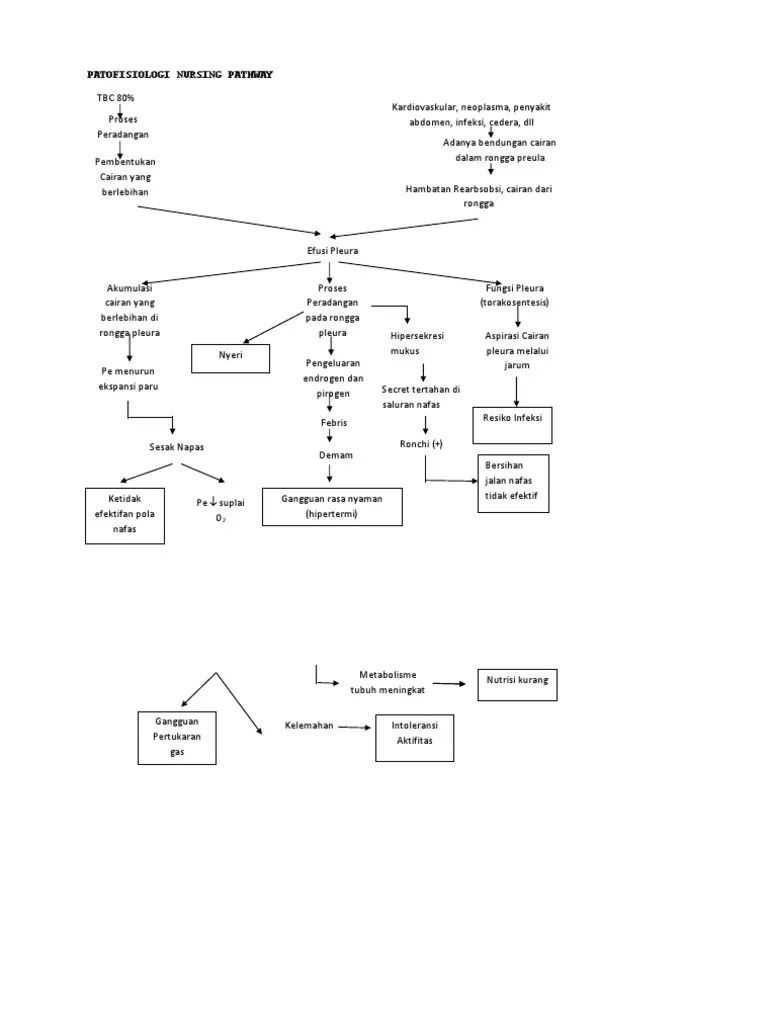 Patofisiologi Nursing Pathway | PDF