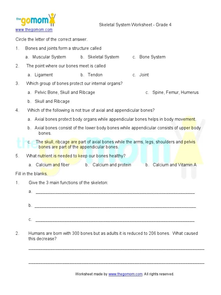 The purpose of the bones and muscles in the skeletal and muscular systems and the importance. Skeletal System Grade 4 Pdf Skeleton Bone