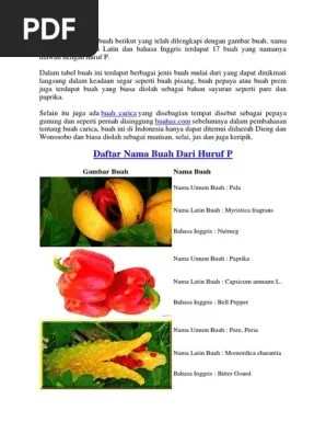 Buah Dari Huruf P | PDF