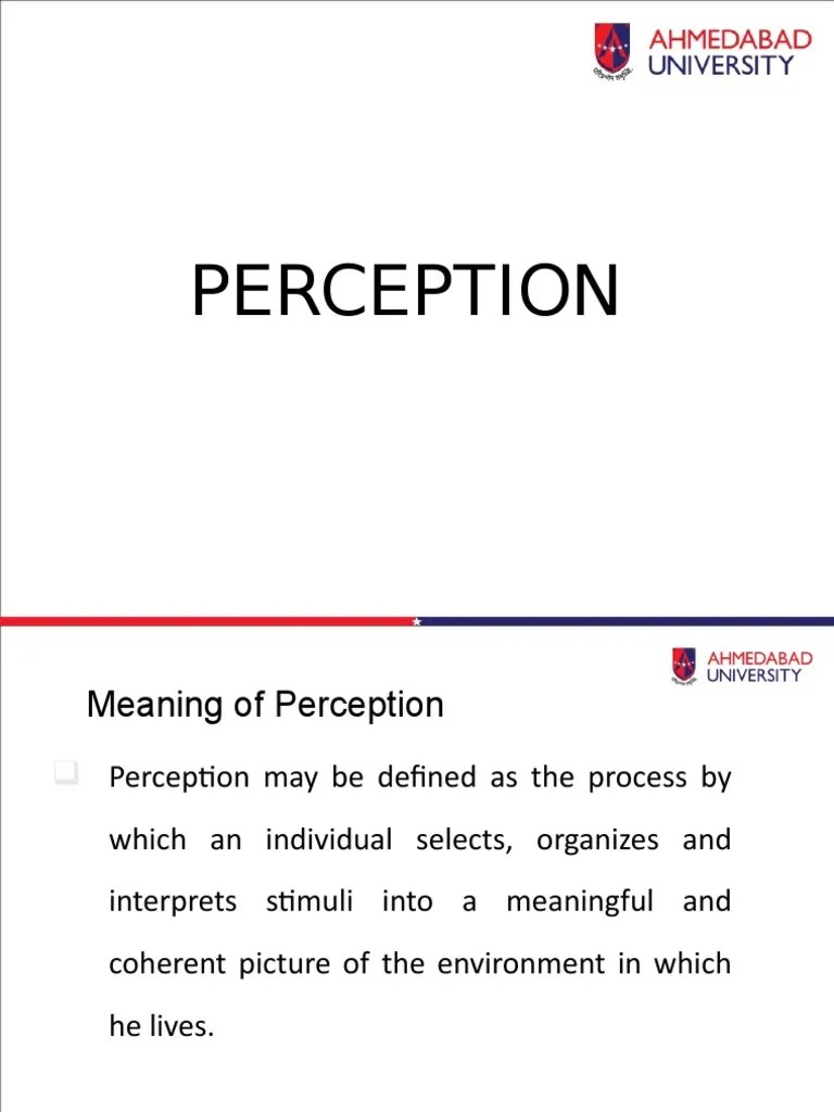 Perception Theories | PDF | Perception | Attention