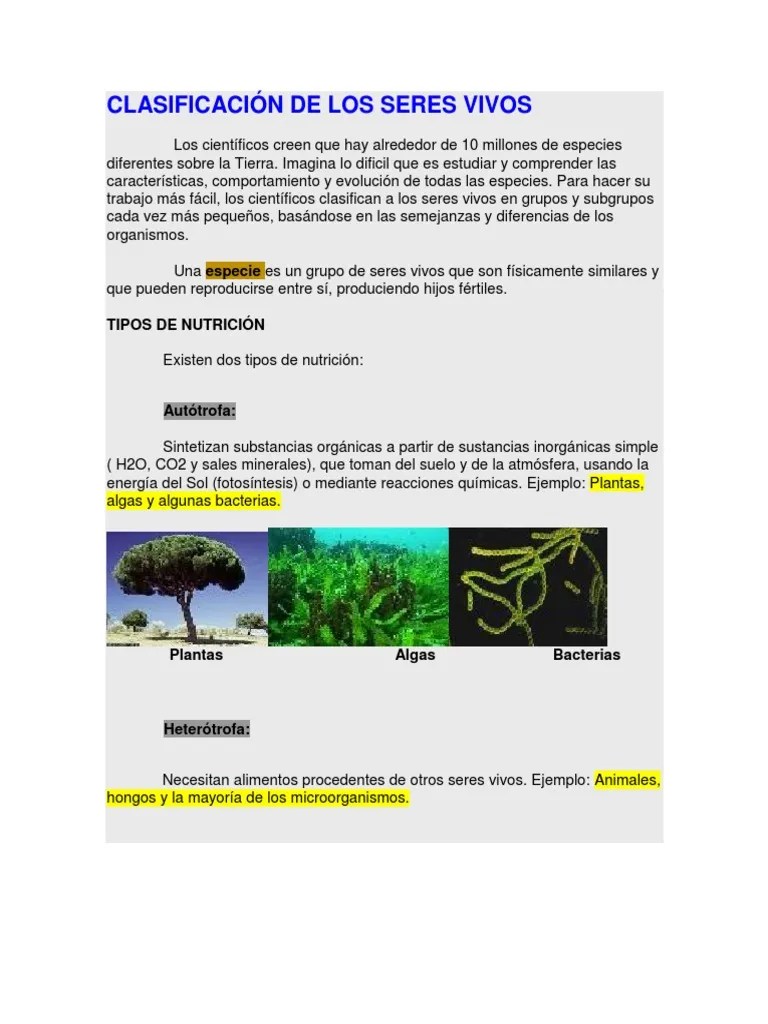 Clasificación De Los Seres Vivos | PDF | Plantas | Hongo