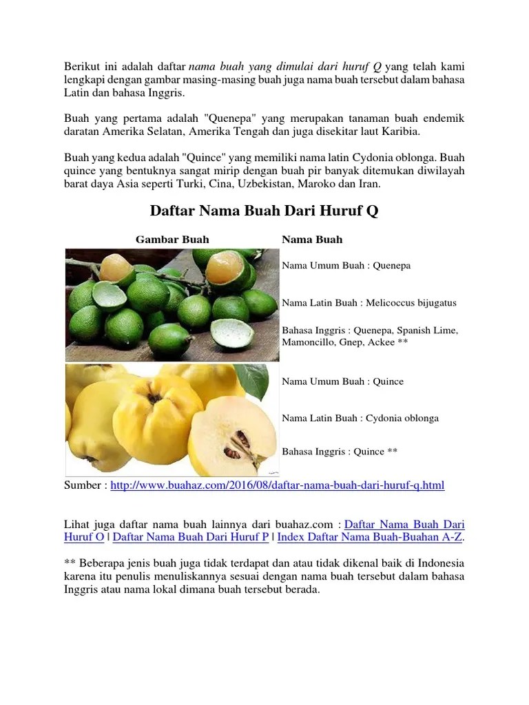 Buah dari huruf i selanjutnya adalah illawarra yang memiliki nama latin podocarpus elatus yang merupakan tanaman endemik australia. Nama Buah Dari Huruf Q Pdf