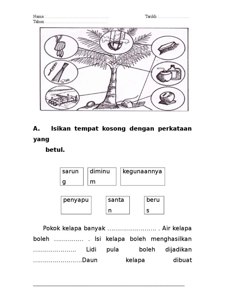 Tulis lima kegunaan pokok kelapa sawit di bawah. Lembaran Kerja Kegunaan Pokok Kelapa Pdf