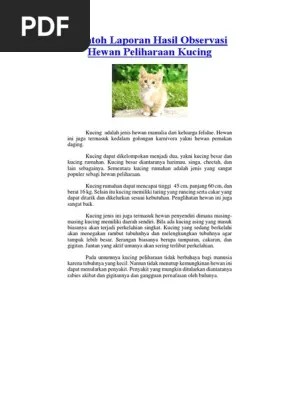 Contoh Teks Deskripsi Tentang Kucing Bernama Niko Contoh Teks Laporan Hasil Observasi Tentang Hewan.