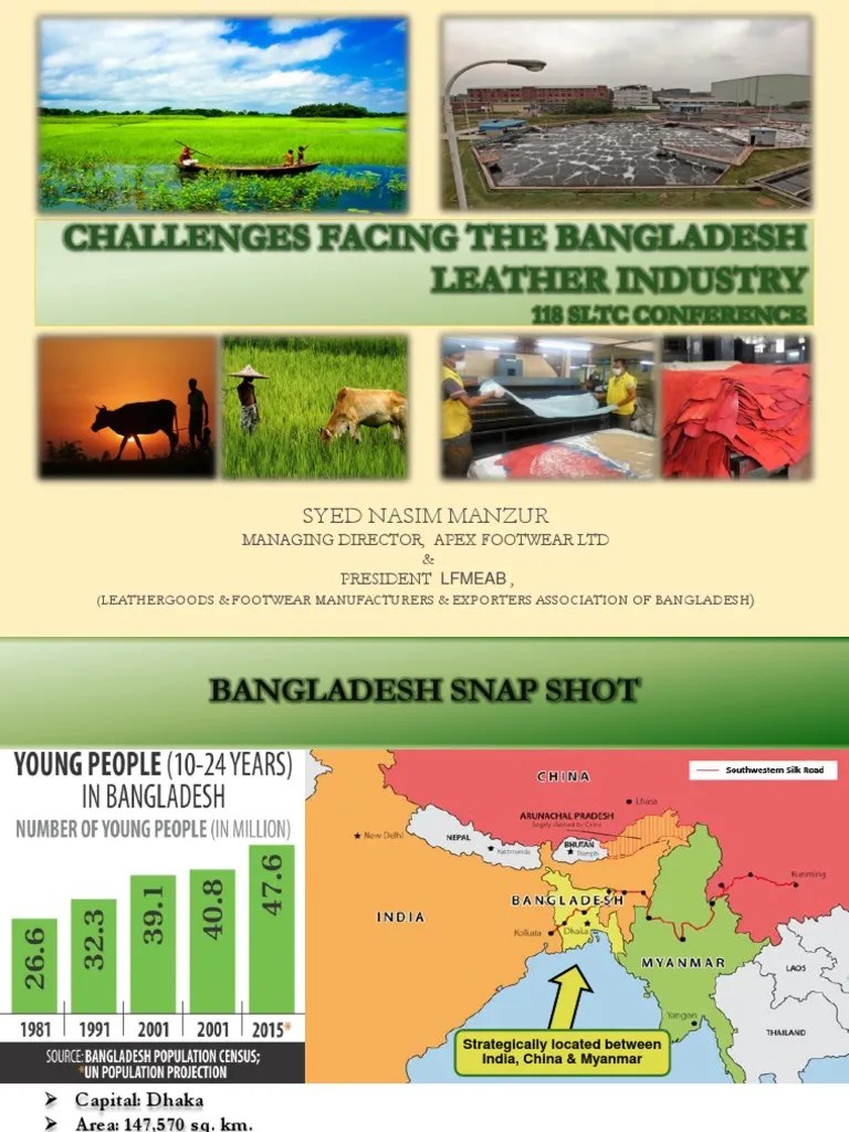 Challenges Facing The Bangladesh Leather Industry LFMEAB | PDF | Leather | Bangladesh