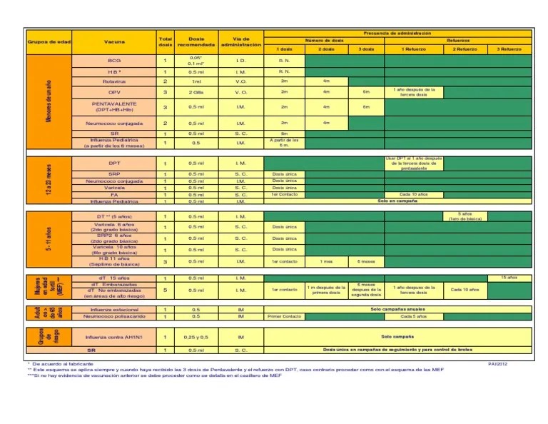 Esquema+de+vacunacion.pdf | Medicina Veterinaria | Enfermedades Virales Animales
