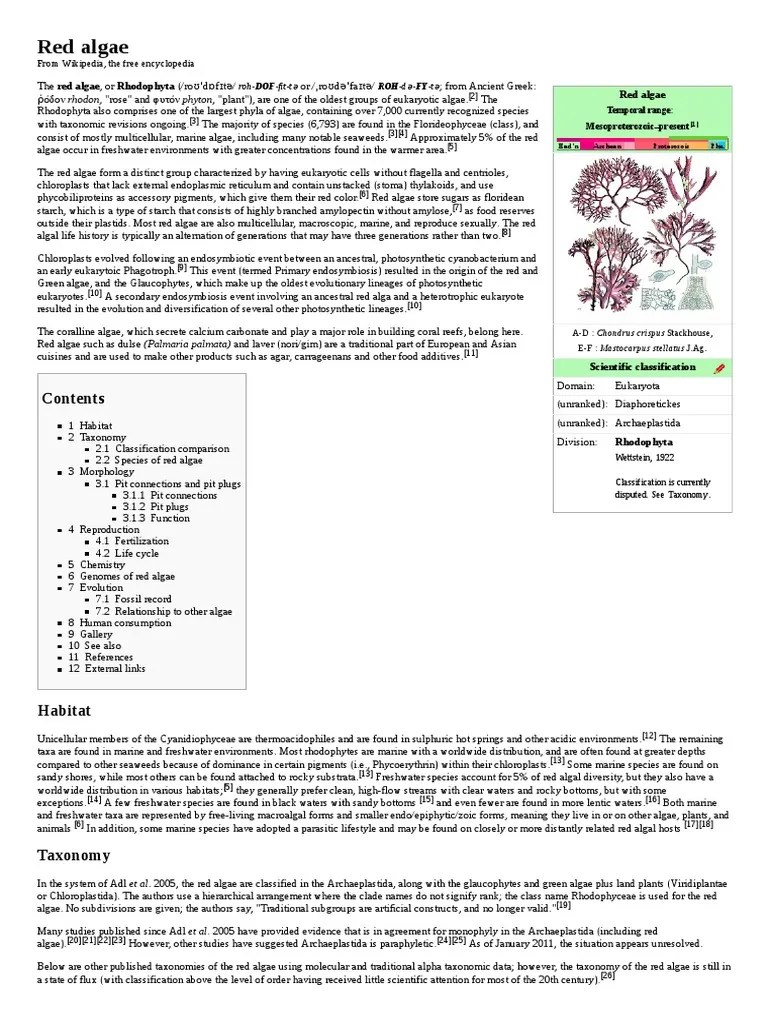 Red Algae: From Wikipedia, The Free Encyclopedia Ə Ə Ə | PDF | Algae | Eukaryotes