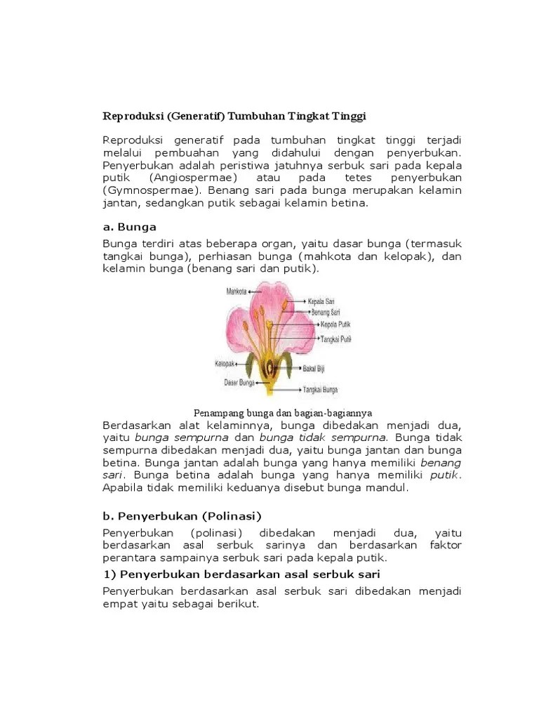 4) biji yang ditanam atau jatuh ditempat yang cocok akan tumbuh menjadi kecambah. Repro Duks I