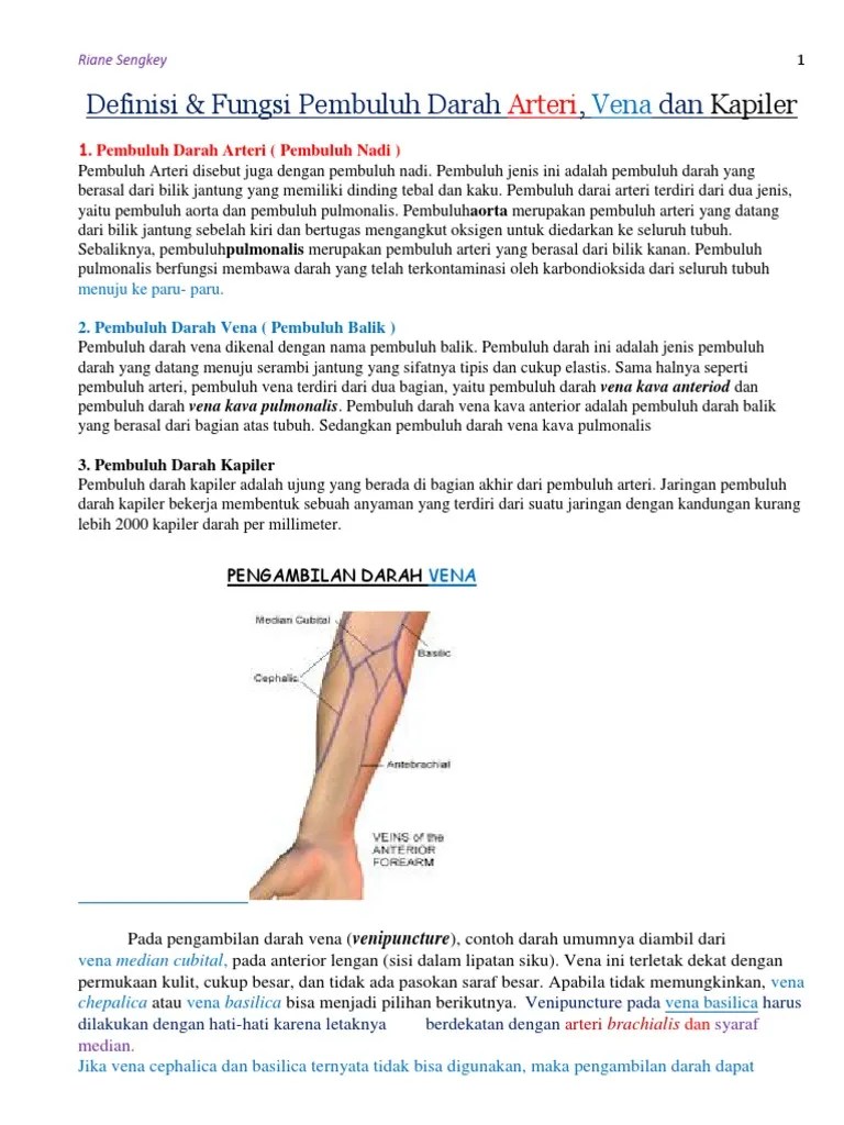 Definisi &amp; Fungsi Pembuluh Darah Arteri, Vena Dan Kapiler | PDF