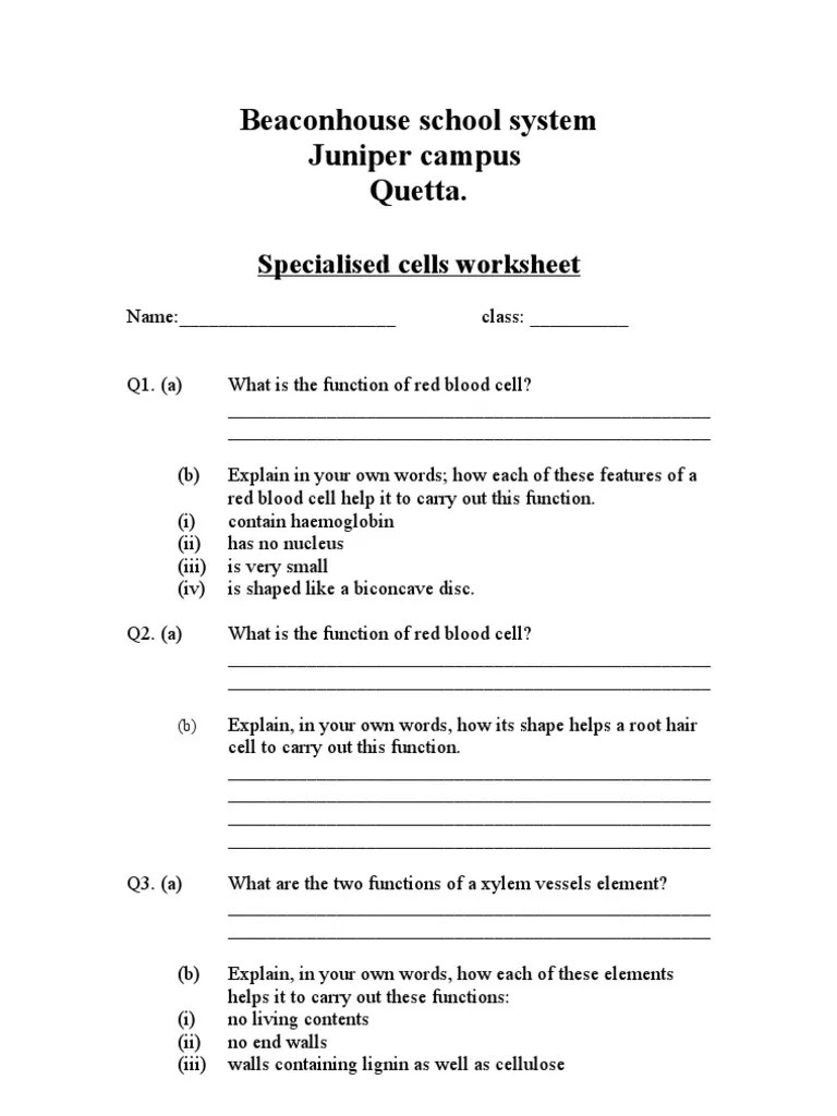 Senior citizens are more active today than ever before. Specialized Cell Worksheet 2 Pdf