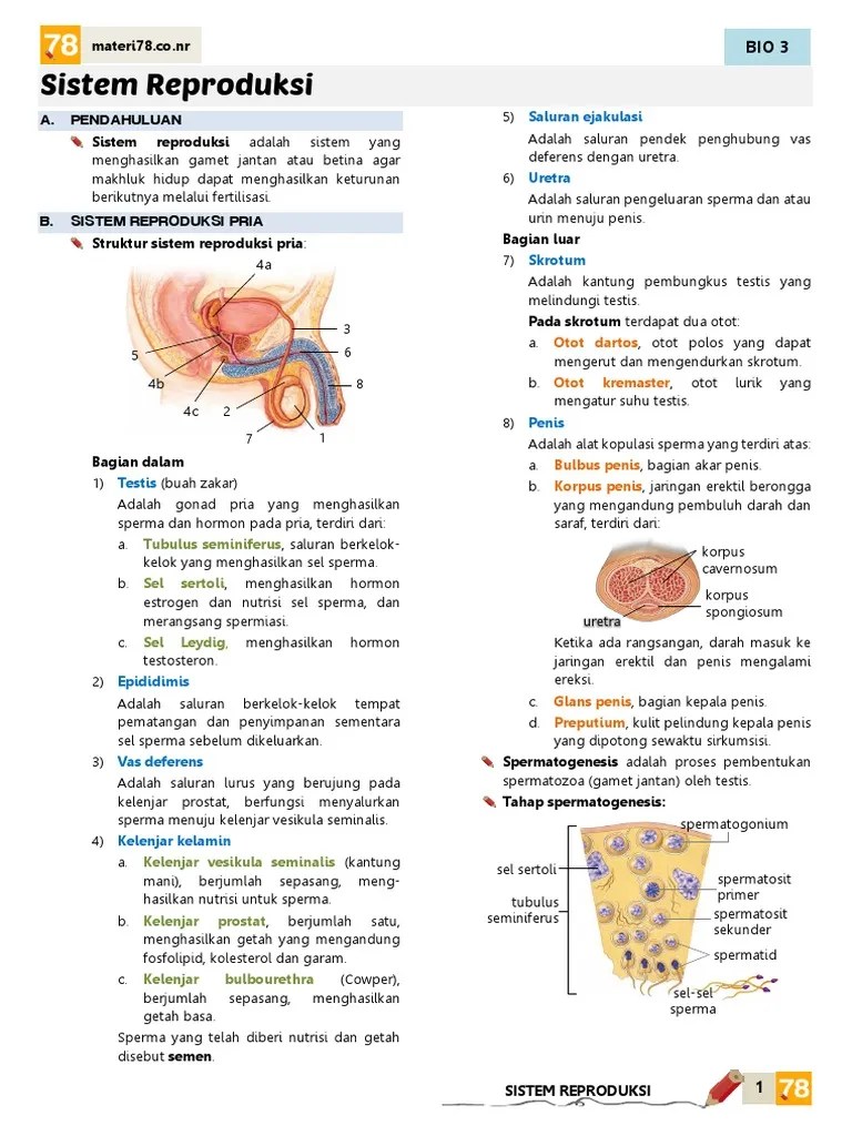 Materi78 Repro&amp;Imun | PDF
