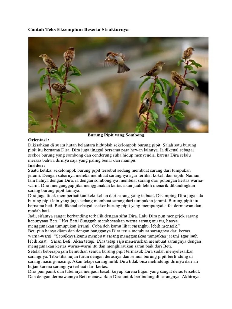 Contoh Teks Eksemplum Beserta Strukturnya | PDF