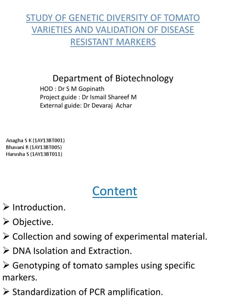 Study Of Genetic Diversity Of Tomato Varieties And | PDF | Genetic ...