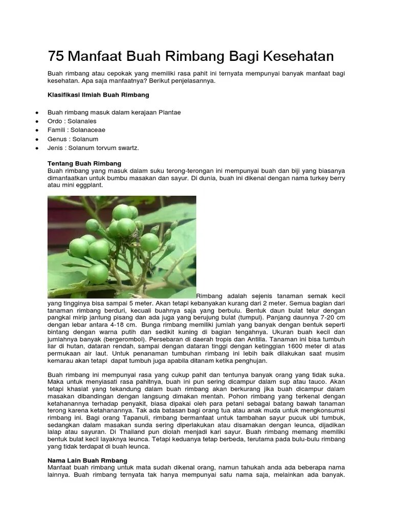 75 Manfaat Buah Rimbang Bagi Kesehatan | PDF