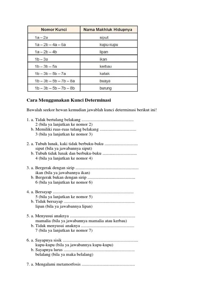 Download 11+ Contoh Soal Ujian Mandiri Uns Paling Dicari