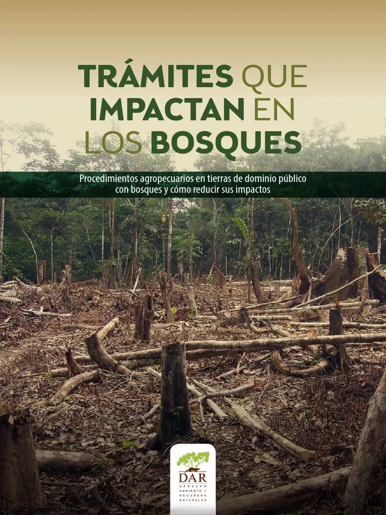 Libro Sobre Bosques | PDF | Los Bosques | Deforestación