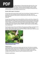 The Right Man, and The Right Place | PDF