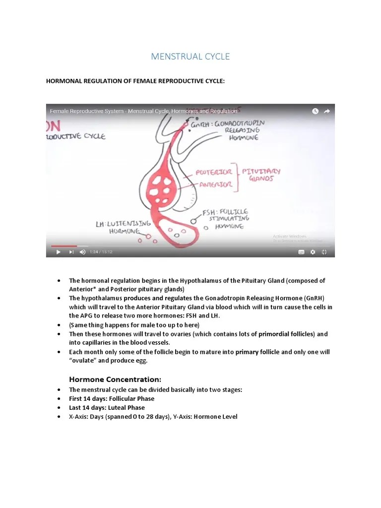 Menstrual Cycle: Hormonal Regulation Of Female Reproductive Cycle | PDF ...