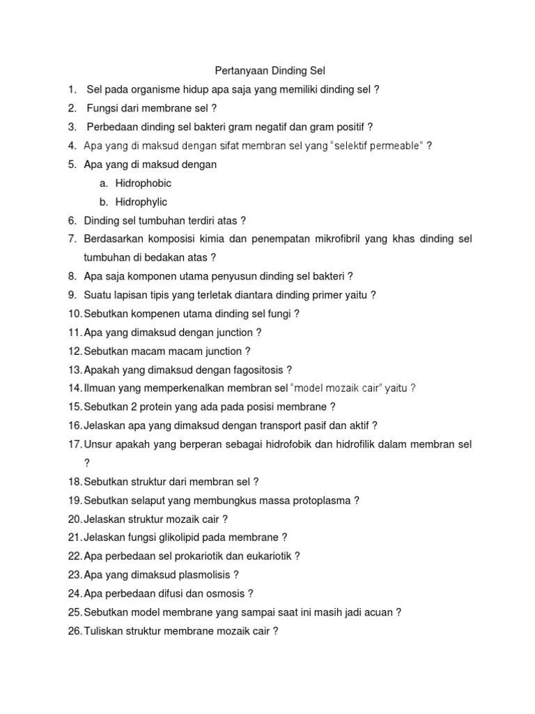 Soal Essay Tentang Sel Prokariotik Dan Eukariotik
