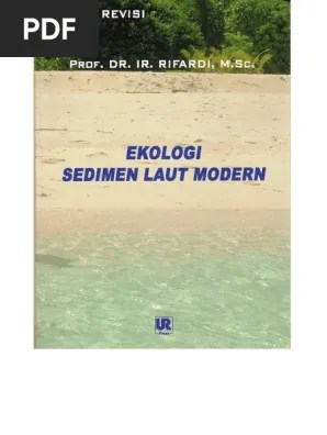 Buku Rifardi Sedimen | PDF