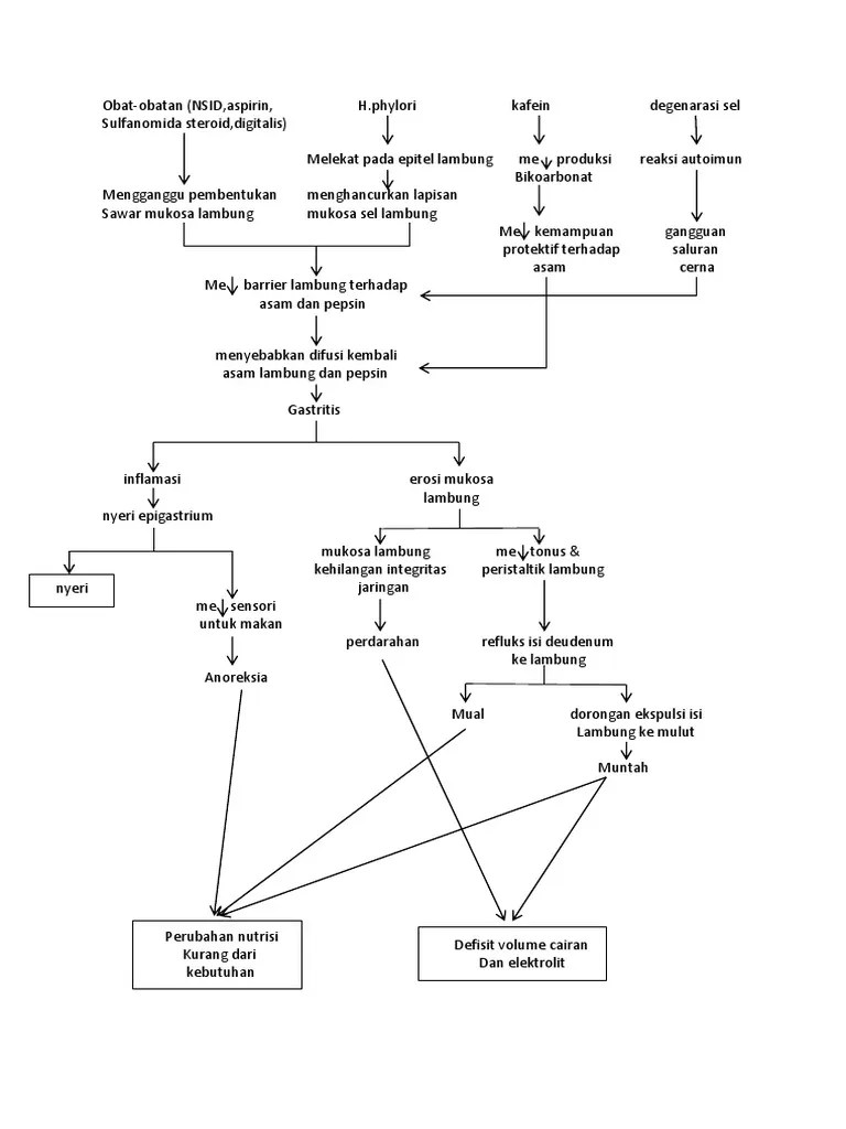 Pathway Gastritis | PDF