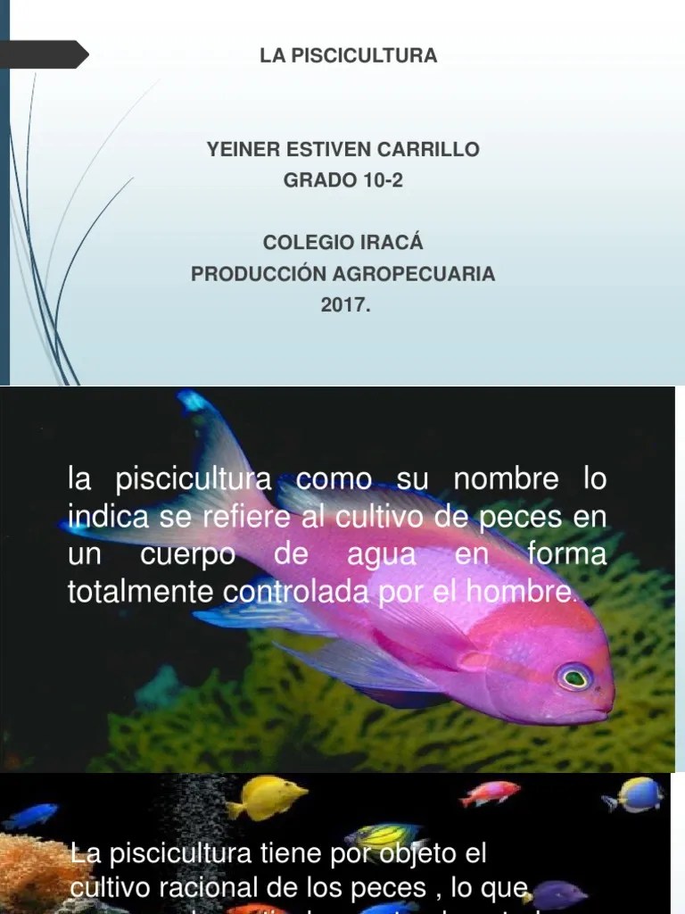 Análisis Completo De La Piscicultura: Sus Tipos, Especies Cultivadas ...