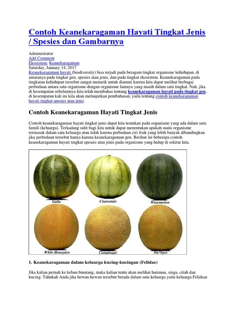 Akan terbagi ke dalam beberapa macam seperti kelapa, sawit, aren, kurma, nipah, hingga salak. 10 Contoh Keanekaragaman Tingkat Jenis Pada Hewan Berbagai Contoh