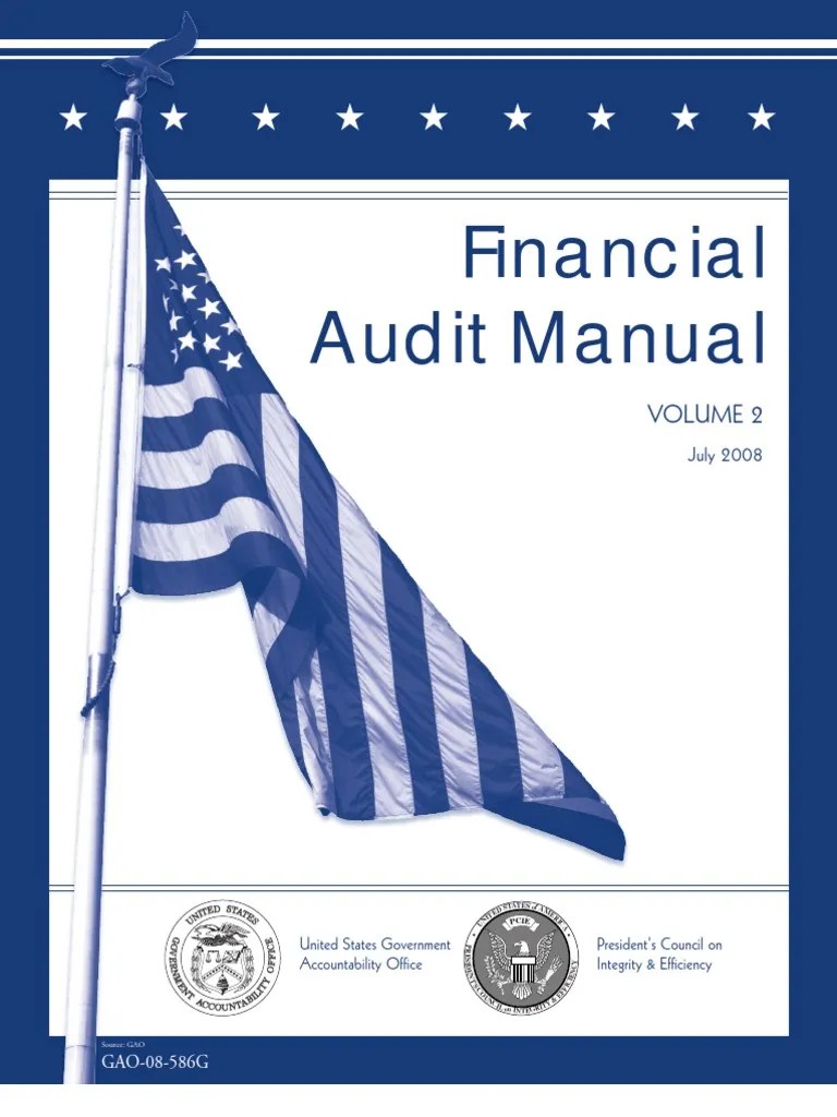 Ch 0 Audit Basics Pdf Audit Financial Audit - Mobile Gradient Images for Desktop
