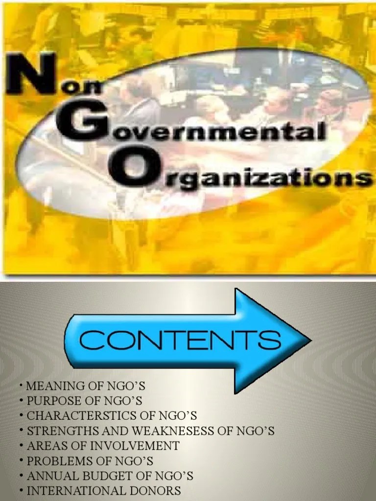 Ngo's Ppt