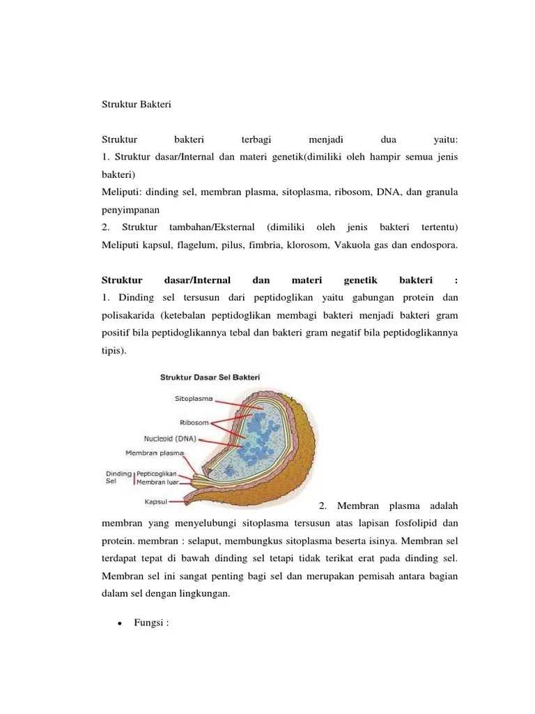 Materi genetik memegang peranan penting dalam proses pewarisan sifat. Materi Genetika Bakteri Pdf