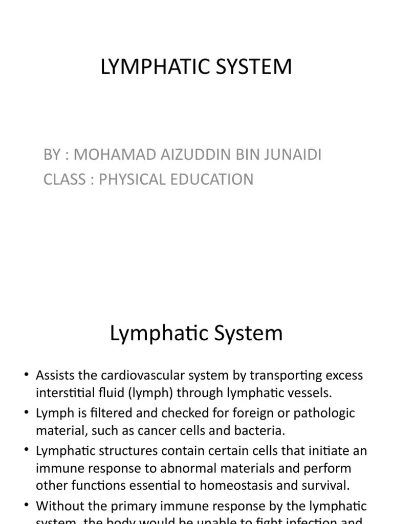 Lymphatic System: By: Mohamad Aizuddin Bin Junaidi Class: Physical Education | PDF | Lymphatic ...