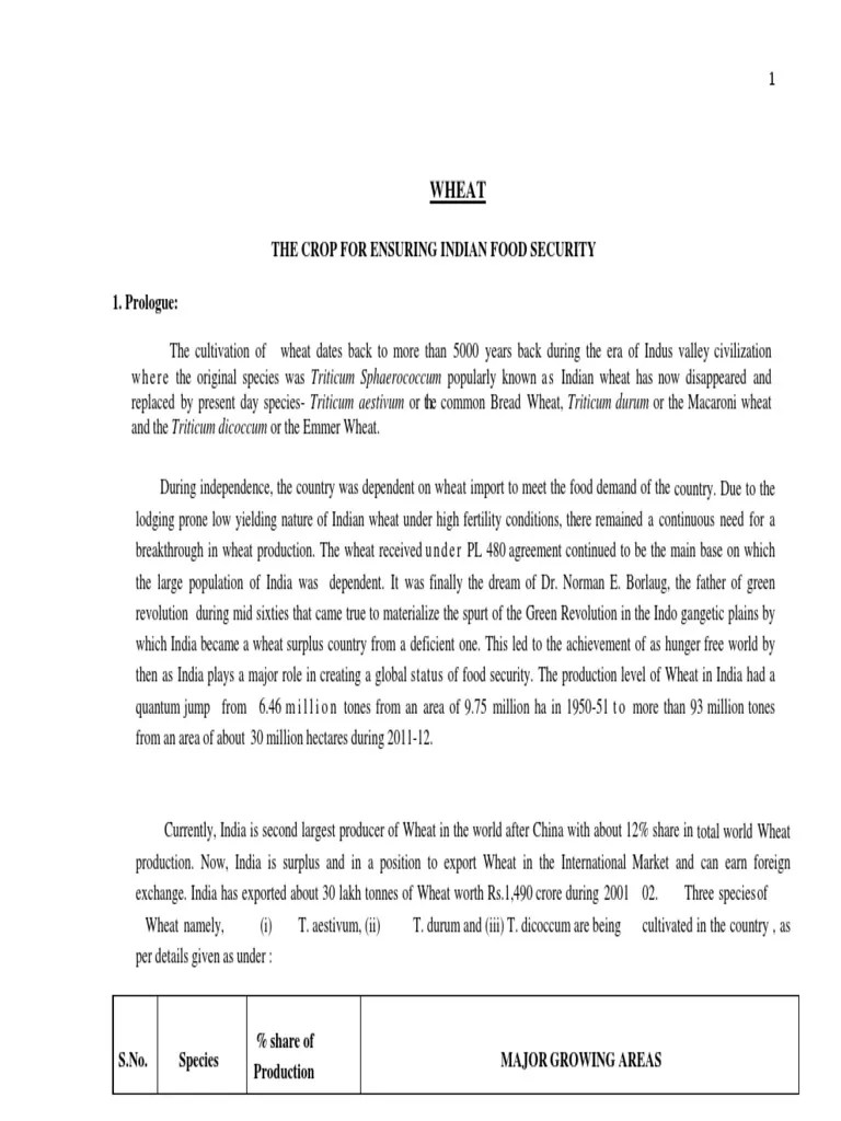 Wheat PDF | PDF | Cereals | Wheat