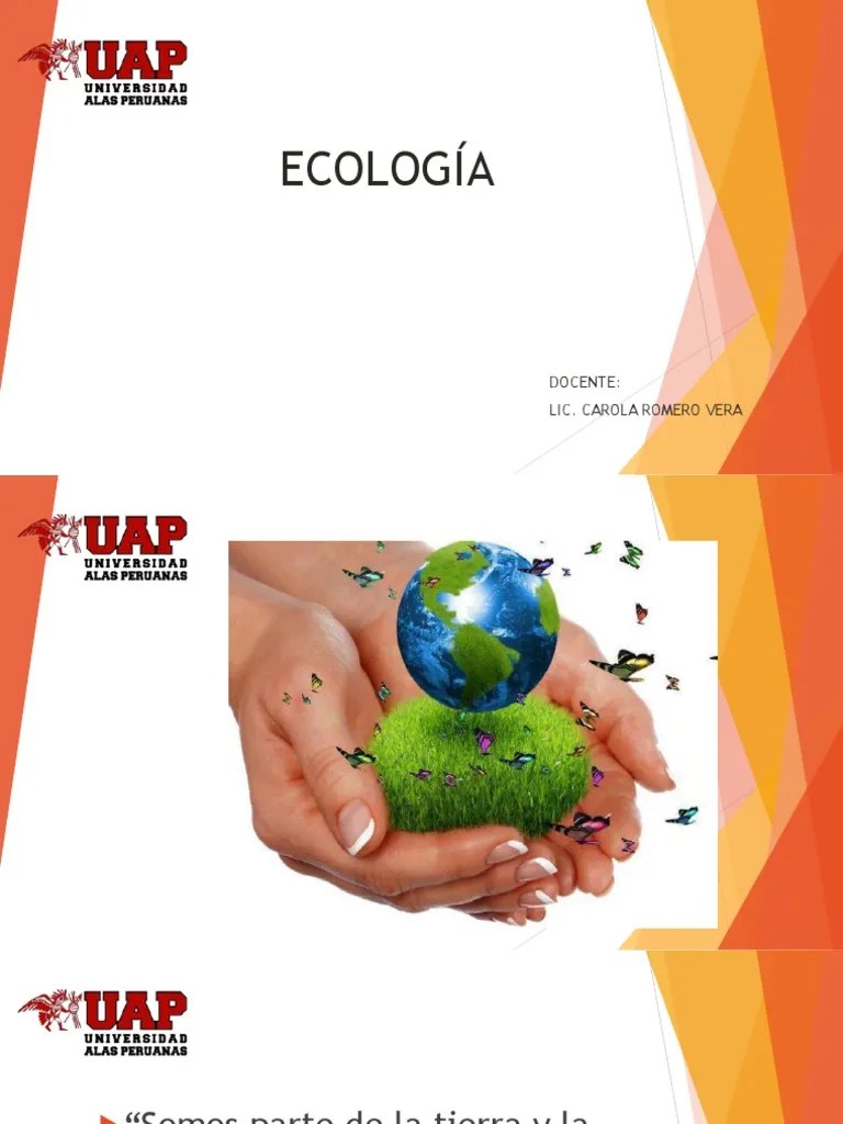 Contaminaci N Sonora En Huaraz Pdf Audiolog A Sonido - Download Incredible Colorful Illustration | High Resolution