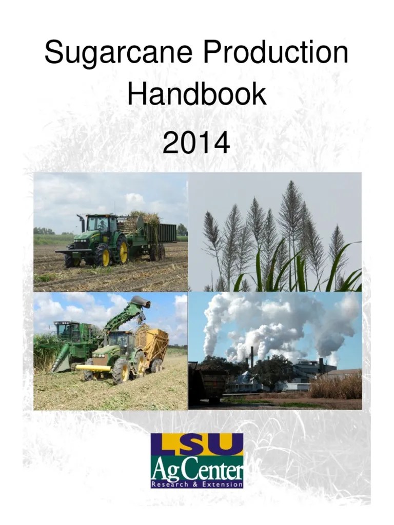 Production Of Sugarcane PDF | PDF | Sugarcane | Crop Rotation