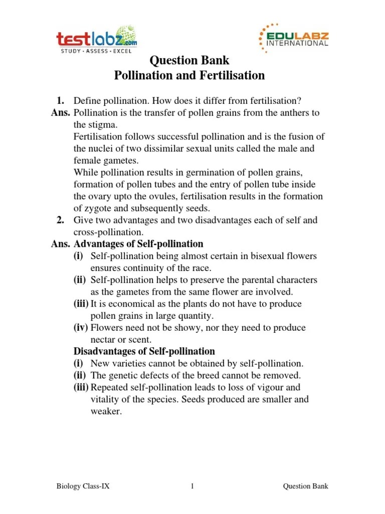 Pollination And Fertilisation | Download Free PDF | Pollination | Flowers