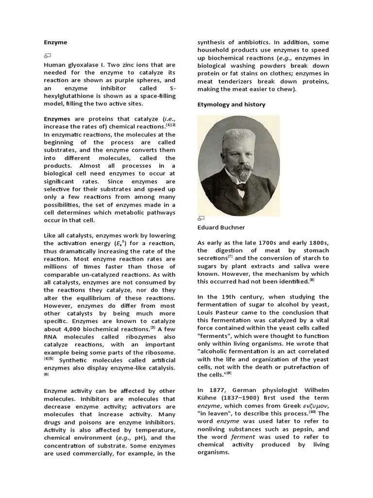 Enzyme | PDF | Enzyme | Cofactor (Biochemistry)