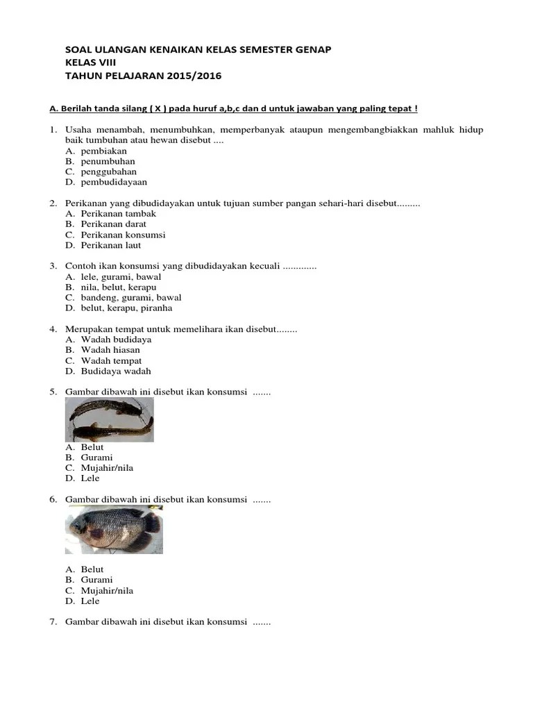 Download soal dan kunci jawaban pat ppkn kelas 10 semester genap 2020 pdf kurikulum 2013 revisi terima kasih untuk pengunjung yang telah mengingatkan admin . Soal Ukk Prakarya Kelas 8 Pdf