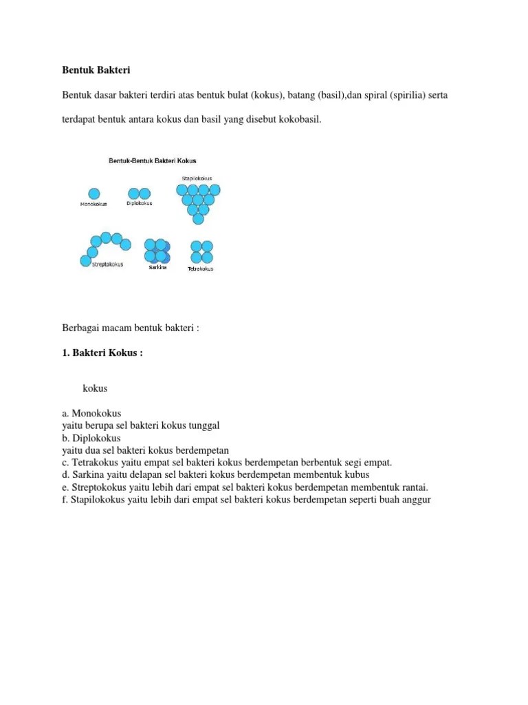 Bentuk Bakteri | PDF