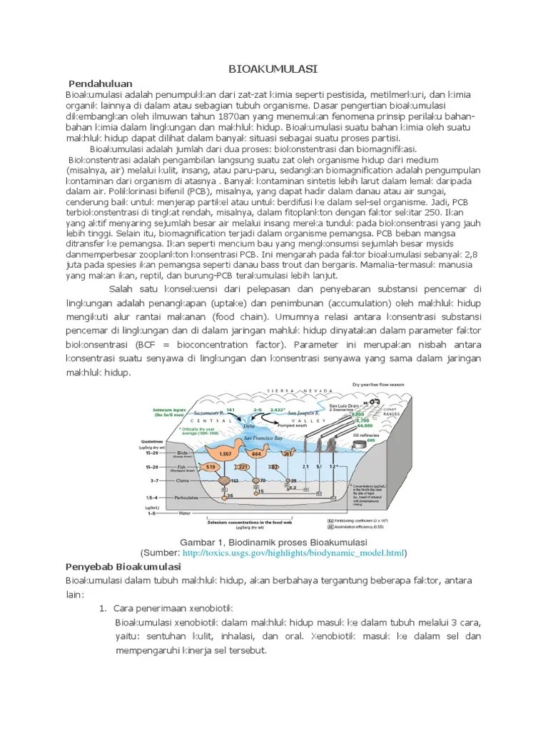 BIOAKUMULASI | PDF
