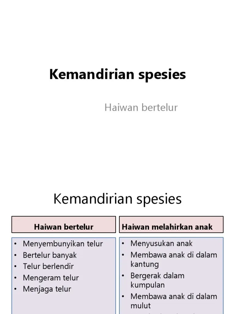 Dikutip dari buku ilmu pengetahuan alam ipa, tim sains quadrum, (2007:41), jika hewan vivipar melahirkan dan hewan ovipar bertelur, . Kemandirian Spesies Pdf