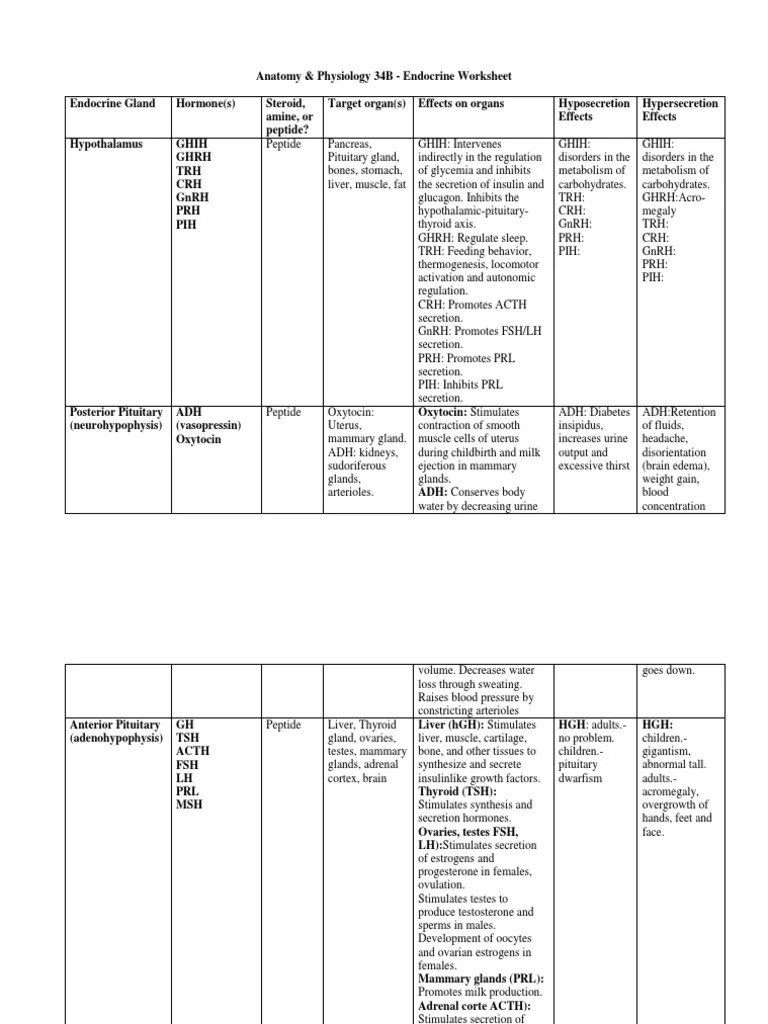 Sources—and striking the right balance is key. Endocrine Worksheet Pdf Cortisol Endocrine System