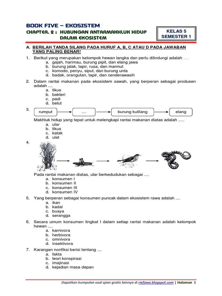 Soal Kelas 5 Tema 5 Subtema 2 | PDF
