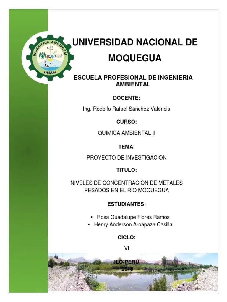 Informe Final Moquegua Agua | PDF | Hidrología | Agua