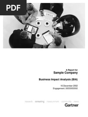 Sample Bia Report Business Continuity Business